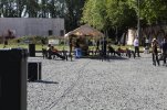 tourneson2012-3